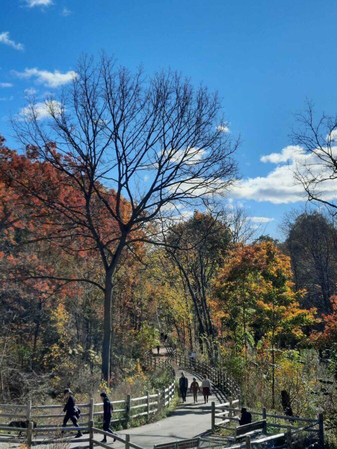 bricwork2 - DestinationLB - Fall For Ontario