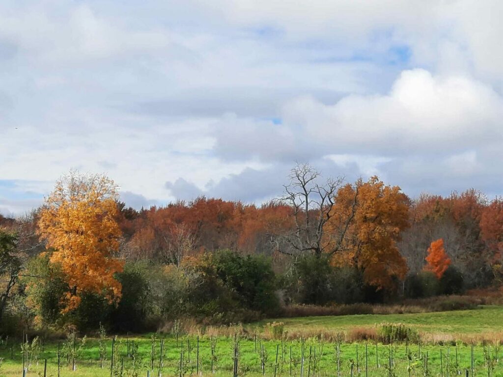 picton18 - DestinationLB - Fall For Ontario