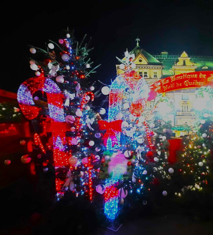 I am dreaming of a Green Christmas 5 dec222023C - DestinationLB - I am dreaming of a Green Christmas