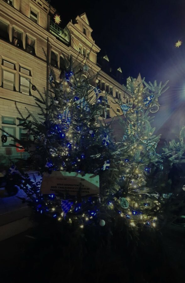 I am dreaming of a Green Christmas 3 dec222023E - DestinationLB - I am dreaming of a Green Christmas